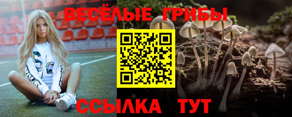 Галлюциногенные грибы мицелий  Вход с VPN  Баксан 